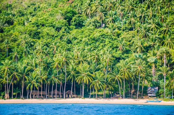 Cabañas locales bajo palmeras en la isla Cadlao, El Nido, Palawan, Filipinas — Foto de Stock