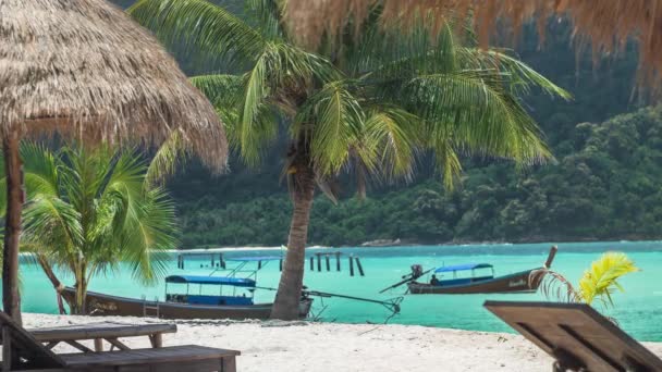 Tropikalnych Palm poruszających się w lekki powiew na piaszczystej plaży, kołysanie długi ogon łodzi w niebieski ocean woda w tle — Wideo stockowe
