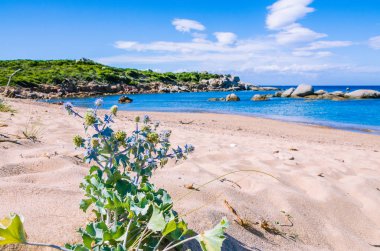 Masmavi su güzel Sardunya Adası, İtalya ile boş plaj