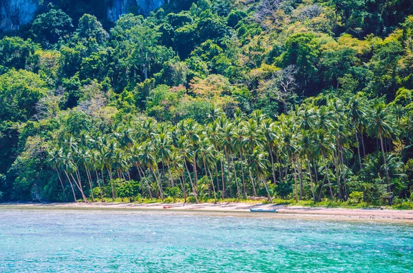 Palmeras en la isla Cadlao, El Nido, Palawan, Filipinas — Foto de Stock