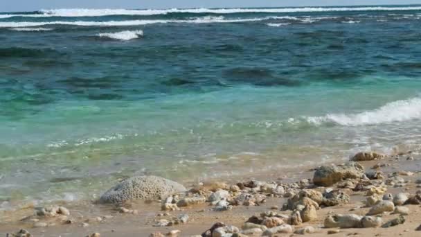 Las olas del océano golpeando en la playa de arena con algunas piedras. Ondas de riff en fondo — Vídeos de Stock