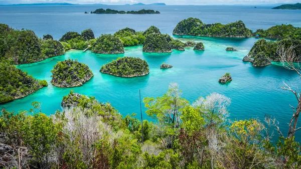 Islas Pianemo rodeadas de aguas cristalinas azules y cubiertas de vegetación verde. Raja Ampat, Papúa Occidental, Indonesia — Foto de Stock