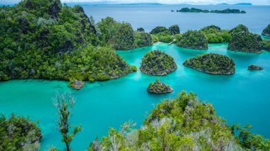 Painemo Adası, Blue Lagoon, Raja Ampat, Batı Papua, Endonezya