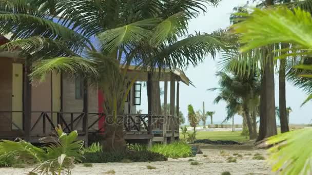 Bungalovlar ve tropikal palmiye ağaçları kumlu sahilde hafif bir esinti — Stok video