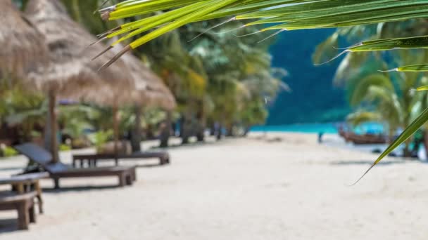 Tropische palmbomen bewegen in een lichte bries op zandstrand, staart ligstoelen, lange boten toerist in onscherpe achtergrond — Stockvideo