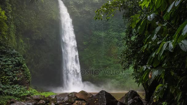 Тропічний водоспад у пишних зелених джунглях. Падаюча вода потрапляє на поверхню води. Зелене листя, переміщене вітровим бризом — стокове відео