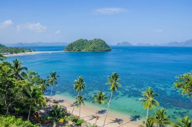 Palmiye ağaçları ile tropikal plaj. Okyanusu arka plan, El Nido Palawan, Filipinler birçok Adaları