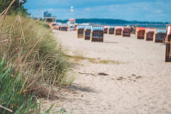 Travemunde kum plajındaki renkli çatılı sandalyeler. Çim bush ön planda. Almanya — Stok fotoğraf