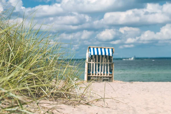 Kék színű fedett székek Travemunde homokos strandján. Fű bush az előtérben. Németország — Stock Fotó