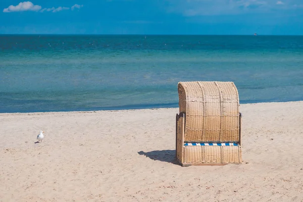 Uma cadeira coberta na praia de areia vazia em Travemunde. Uma gaivota solitária ao lado. Alemanha — Fotografia de Stock