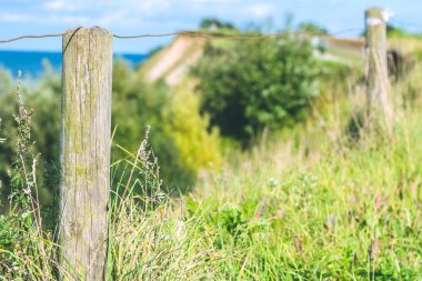 Baltık sahili. Ufuk eğimli yüzey yamaç yol çakıl plajı. Turist için yürüyüş yolu. Mantova - Travemuende, Almanya