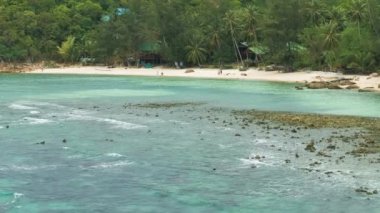 Tropik kumlu sahil, palmiye ağaçları ve gök mavisi okyanus dalgaları alçak gelgit sırasında dalgalanır.