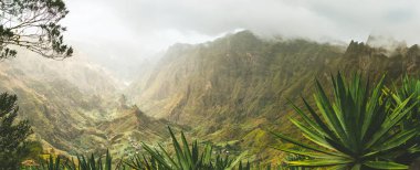 Agava bitkiler ve rocky Dağları Santo Antao Island, Cape Verde Xoxo Vadisi'nde. Panoramik çekim
