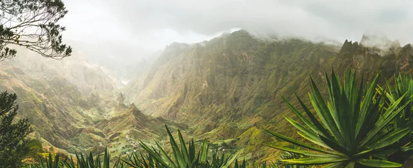 Агава растений и скалистых гор в долине Xoxo на острове Санто-Антао, Кабо-Верде. Панорамный снимок — стоковое фото