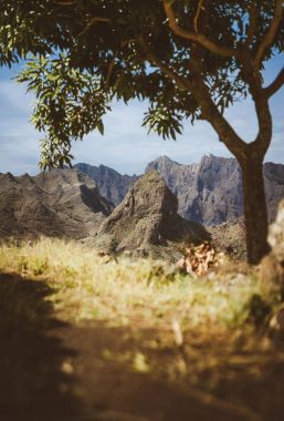 İnanılmaz büyük çorak ufukta görünen dağ. Güneş gölge sağlayan tek mango ağacı parlayan. Santo Antao Adası, Cape Verde