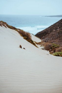 Baia Das Gatas üzerinde Atlantik sahil şeridi üzerinde gerçeküstü beyaz kum tepeleri. Calhau kuzeyinde, Sao Vicente Island Cape Verde