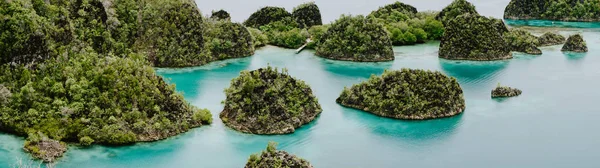 Painemo Adaları panoramik çekim, Blue Lagoon, Raja Ampat, Batı Papua, Endonezya
