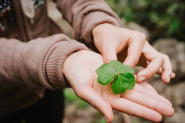 Gergin el palm yonca izinli holding