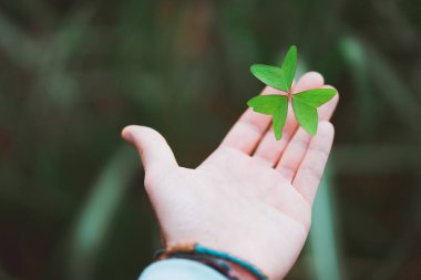 Egzotik Yeşil yonca bırakın gergin adam el avuç içi