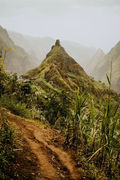 Trekking route 202 along sugarcane vegetation going across the Xo-Xo valley to Ribeira Grande. Santo Antao island, Cape Verde — Stock Photo, Image
