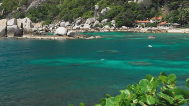 Tanote Bay on sunny day. Rippled ocean water over beautiffull Coral Reef. Tourist chill on sandy beach. Koh Tao, Thailand — Stock Video