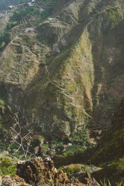 Sarp dağ ve yol yeşil Uçurumu'na inanılmaz görünümünü. Büyük agav bitkiler sıcak yapraklara ışık ön planda. Santa Antao Adası. Cape Verde