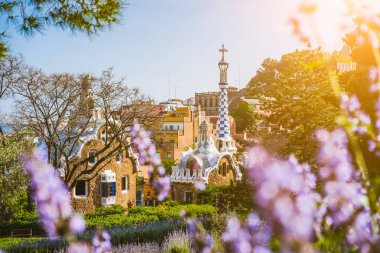 Renkli mozaik Park Guell bina. Menekşe çiçek ön planda. Akşam sıcak güneş ışık patlamaları, Barcelona, İspanya