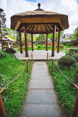 Harika bir manzara Japon bahçe Planten BM, Blomen, yaramaz Hamburg kentsel bir parkta