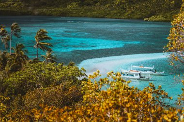 Tropik Yılan Adası 'nın güzel manzarası, El Nido, Palawan, Filipinler