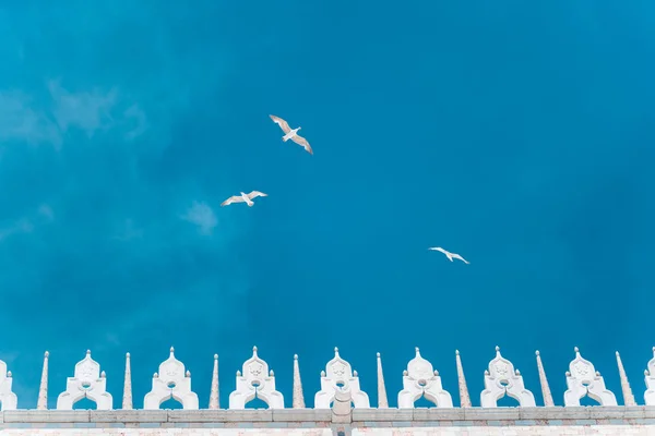 Piazza San Marco Praça de São Marcos com Basílica de São Marcos. Detalhes da arquitetura do telhado com pássaro gaivota voador contra o céu azul em Veneza, Itália. Atração turística, viagem à cidade de verão — Fotografia de Stock
