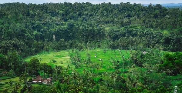 Lacets de riz et quelques cabanes entre Sideman, Bali, Indonésie — Photo