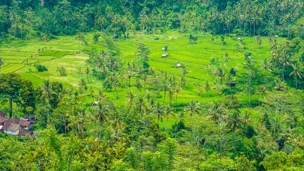 Rice tarraces och några hyddor mellan, Sidemen, Bali, Indonesien — Stockfoto