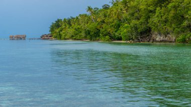 Defne ile dalış istasyonu ve misafirhanesi Kri Adası, Raja Ampat, Endonezya, Batı Papua Tarih önünde sualtı mercan