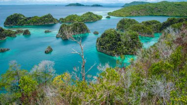 Painemo Adası, Blue Lagoon, Raja Ampat, Batı Papua, Endonezya