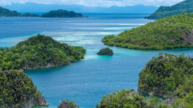 Painemo Adası, Blue Lagoon, Raja Ampat, Batı Papua, Endonezya