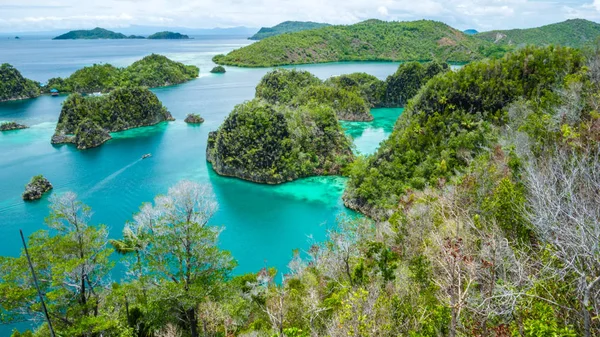 Painemo Island, Laguna Azul, Raja Ampat, Papúa Occidental, Indonesia — Foto de Stock