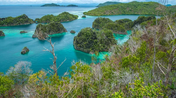 Isola di Painemo, Laguna Blu, Raja Ampat, Papua Occidentale, Indonesia — Foto Stock