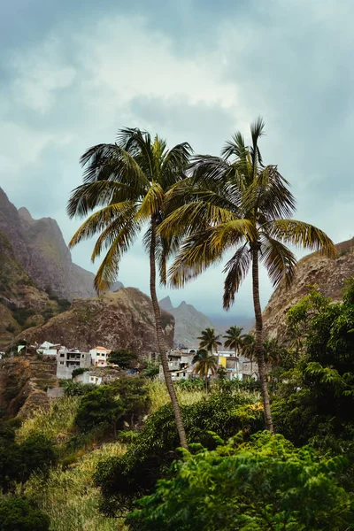 Santo antao, Cape Verde 'de. Adanın kuzeyindeki Paul kıyı köyünde palmiye ağaçları ve kendi kendine inşa edilen evlerle manzara — Stok fotoğraf