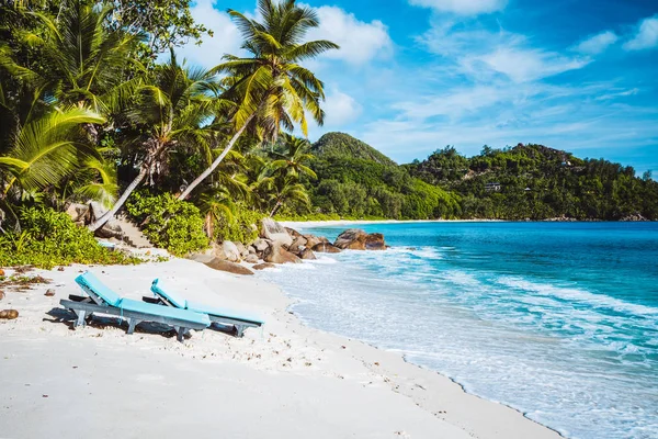 Mahe, Seszele. Piękna intencja Anse, tropikalna plaża z relaksującym leżakiem. Błękitny ocean, piaszczysta plaża i palmy kokosowe. Koncepcja podróży — Zdjęcie stockowe