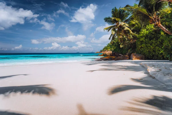 Idealna idylliczna, tropikalna, spokojna plaża z pudrowym białym piaskiem, krystalicznie czystą wodą oceanu. Wakacje i styl życia w lecie — Zdjęcie stockowe