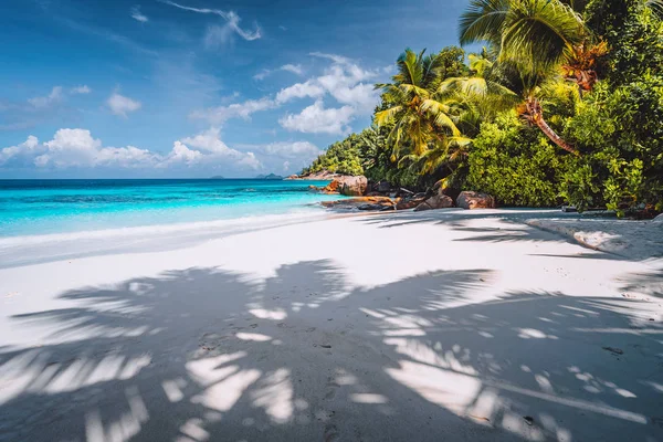 Cień palmy na tropikalnej spokojnej plaży z pudrowym białym piaskiem, krystalicznie czystym błękitnym oceanicznym lagunem i palmami w tle. Koncepcja urlopu i stylu życia — Zdjęcie stockowe