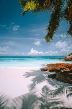 Egzotik tropik plaj. Saf kristal berrak turkuaz okyanus suyu, mavi gökyüzü ve beyaz bulutlar. Yaz tatili yaşam tarzı konsepti