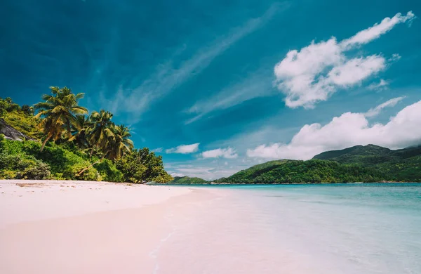 Plage de sable isolée tropicale vide avec cocotiers contre un ciel bleu avec des nuages blancs — Photo