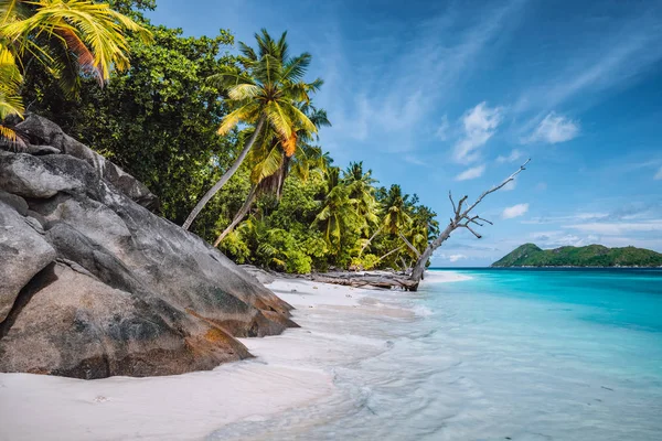 Wycieczka na wyspę Therese. Mahe, Seszele Palmy kokosowe na tropikalnej, zacisznej, piaszczystej plaży, błękitna laguna na tle błękitnego nieba — Zdjęcie stockowe