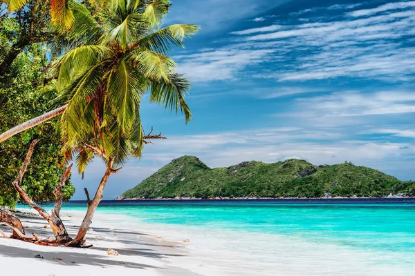 Scena di vacanza di lusso sull'isola tropicale. Spiaggia paradisiaca con sabbia bianca e palme. Turismo di viaggio a lunga distanza concetto di fuga — Foto Stock
