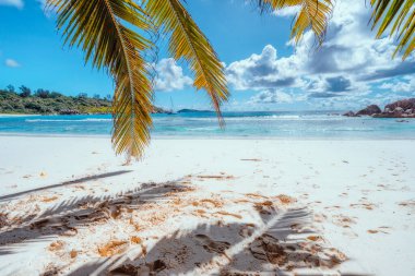 Seyşeller 'deki La Digue Adası' ndaki Anse Cocos tropikal plajında palmiye yaprağı gölgesi. Egzotik tatil konsepti