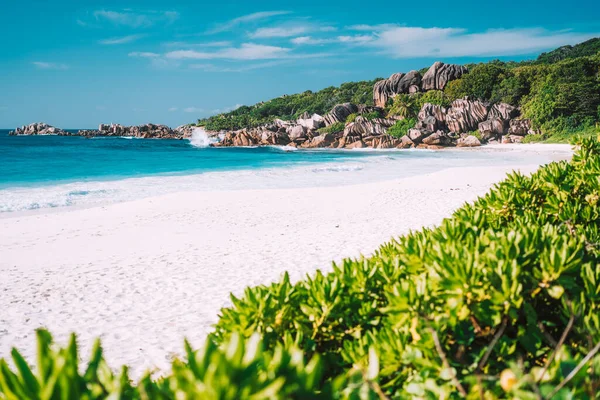 Nyaralás ünnep tapéta képeslap háttér. Grand Anse trópusi strand La Digue, Seychelles. Híres gránit kőképződmények — Stock Fotó