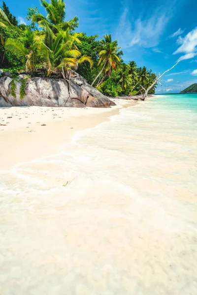 Dovolená dovolenou jasný den pozadí tapety. Palmy na tropické odlehlé písečné pláži. Modrá obloha s bílými mraky — Stock fotografie