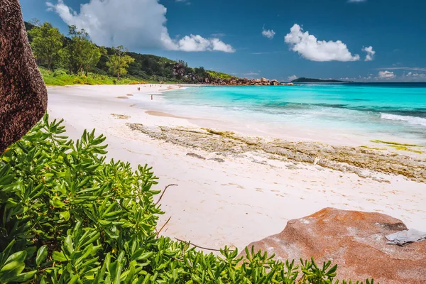 Trópusi part La Digue szigetén, Seychelle-szigeteken. Buja zöld növényzet, türkiz kék óceán hosszú, gyönyörű homokos strandon — Stock Fotó