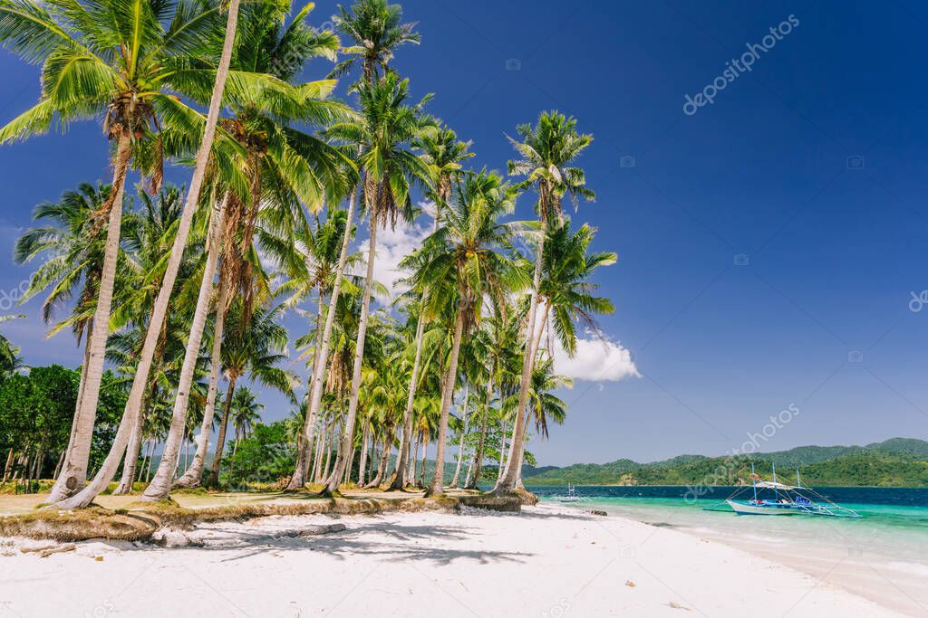 Vacation holiday feeling. Palawan most famous touristic spots. Palm trees and lonely island hopping tour boat on Ipil beach of tropical Pinagbuyutan, Philippines